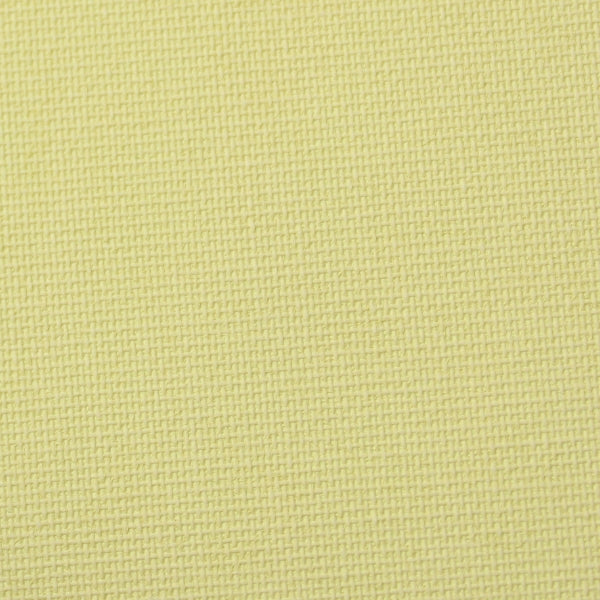 Pistachio Fabric Sample